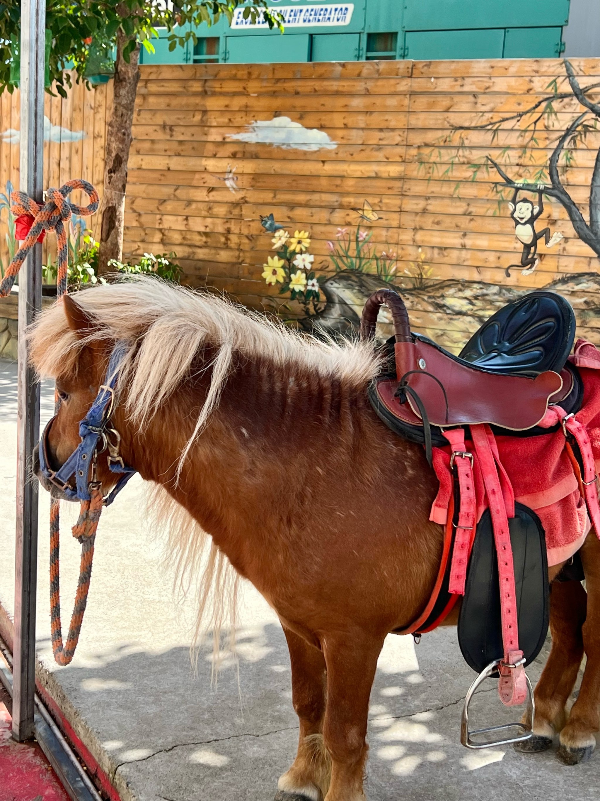 新城ekp手机版(新城ekp网页版登陆)