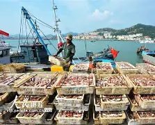 迎丰捕鱼手机版下载(捕鱼app官网下载)-第2张图片-QuickQ官网