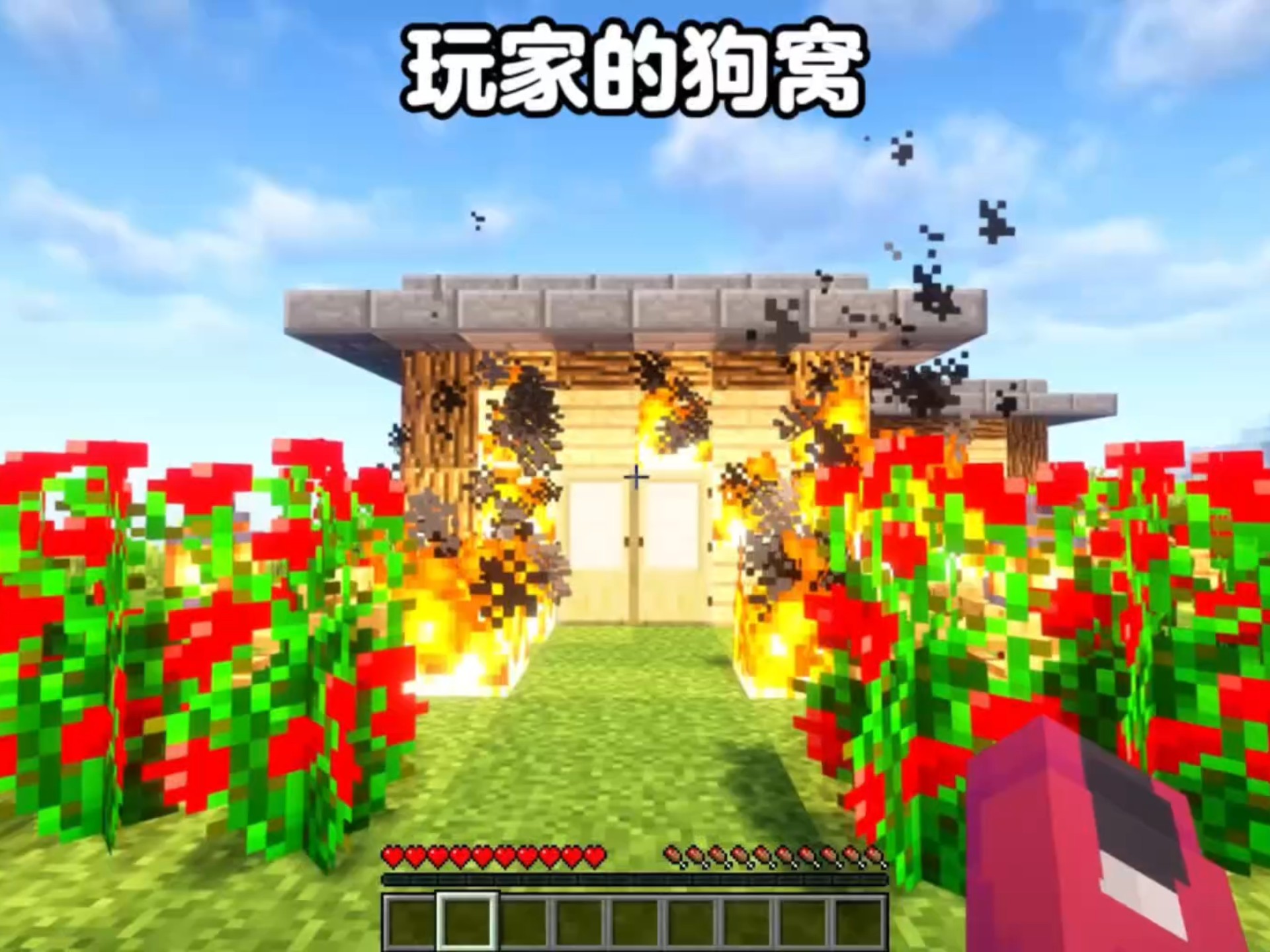 我的世界手机版狗窝(我的世界狗窝怎么做?)-第2张图片-QuickQ官网